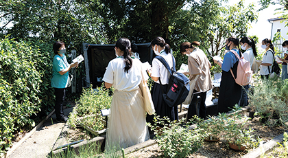 神戸薬科大学